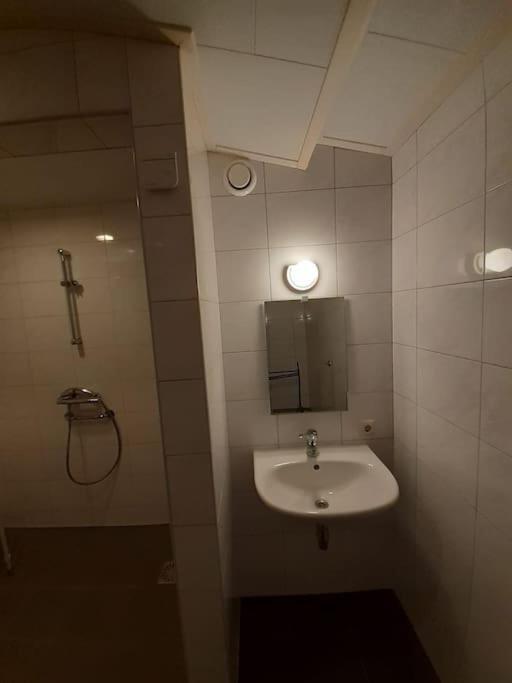 Saevis Tranquillus In Undis In De Ijsvogel Villa Diffelen Dış mekan fotoğraf